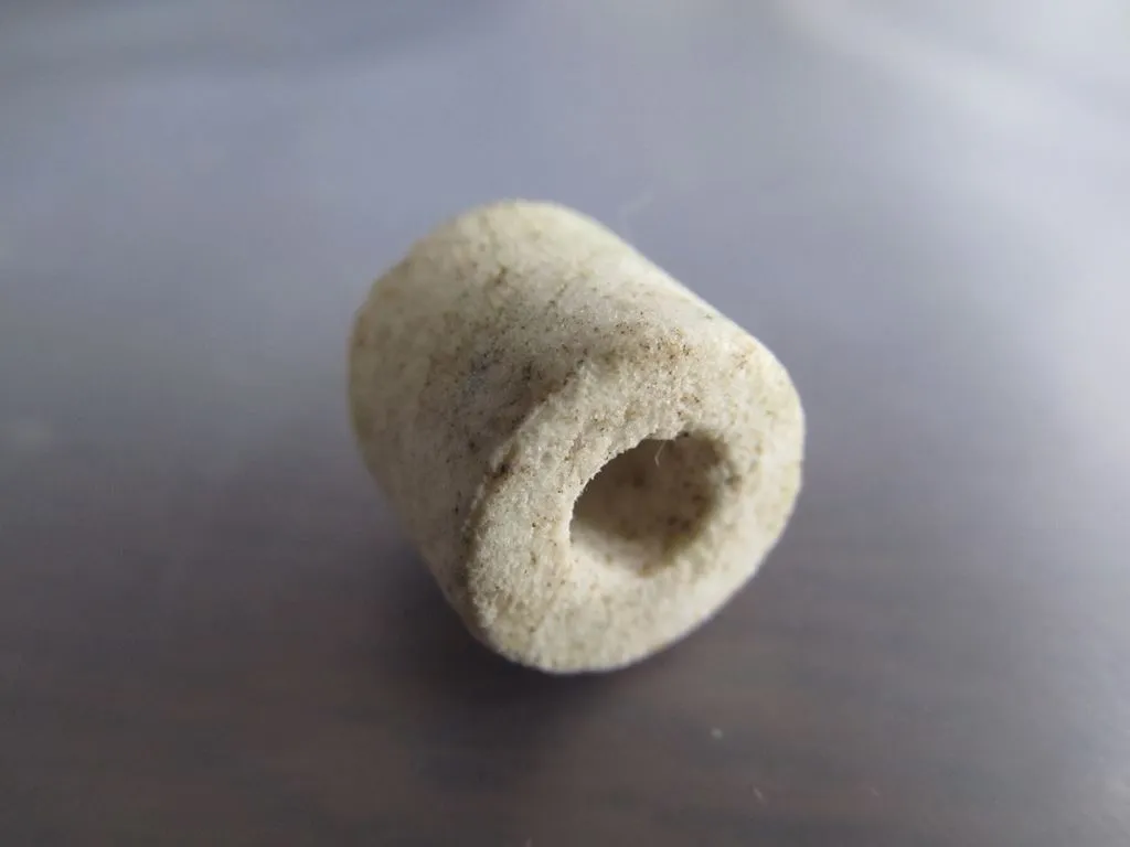 Anillo de cerámica porosa usado como material biológico dentro del filtro
