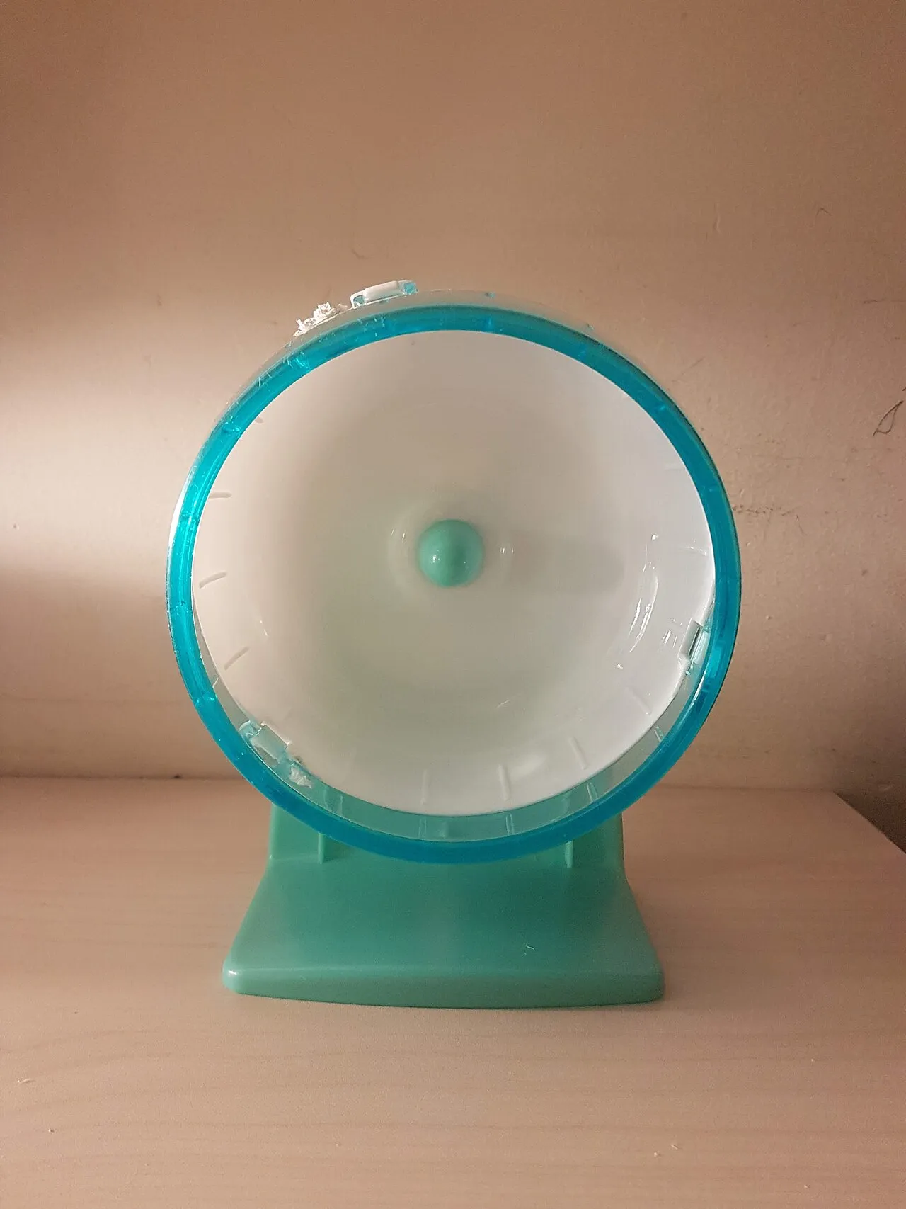 Rueda y bola de ejercicio para hámster: cómo elegir bien