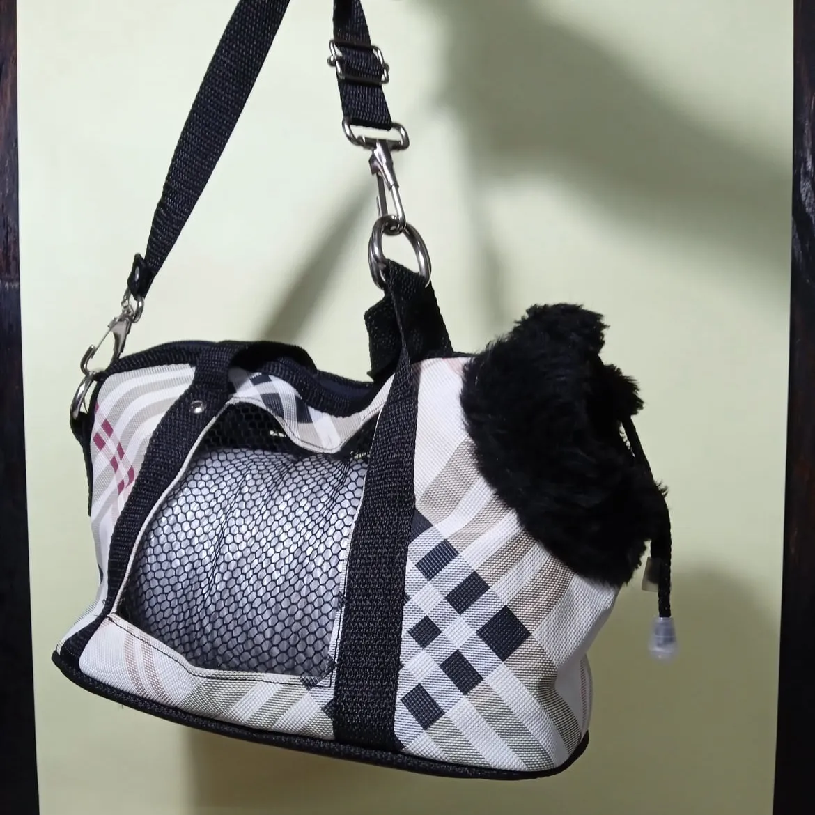 Transportadora para conejos y roedores: elegirla y usarla